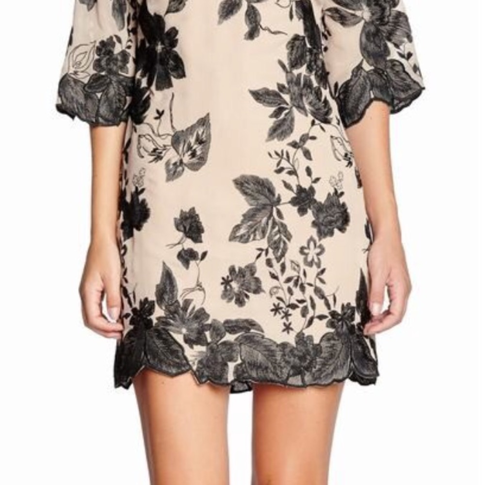 Embroidered Chiffon Mini Sheath Dress - Picture 2 of 4
